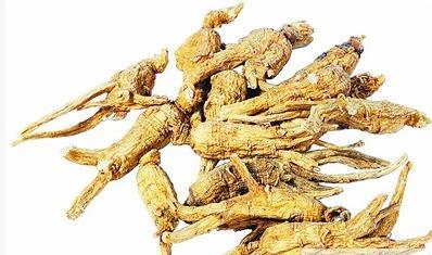 西洋參與人參的區別 藥用價值與適用人群解析