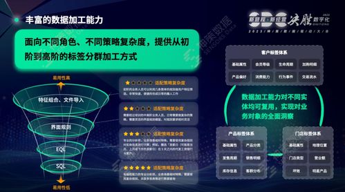 神策數(shù)據(jù)榮登Forrester 2024年Q1亞太區(qū)CDP格局報告，彰顯數(shù)據(jù)處理服務卓越實力