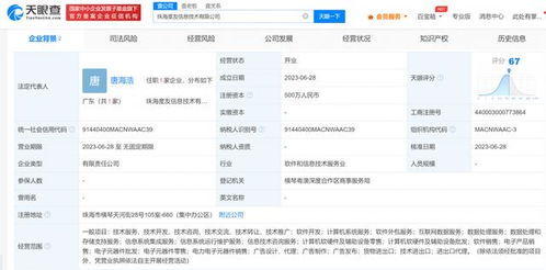 成立新公司 專注數(shù)據(jù)處理服務的戰(zhàn)略與前景